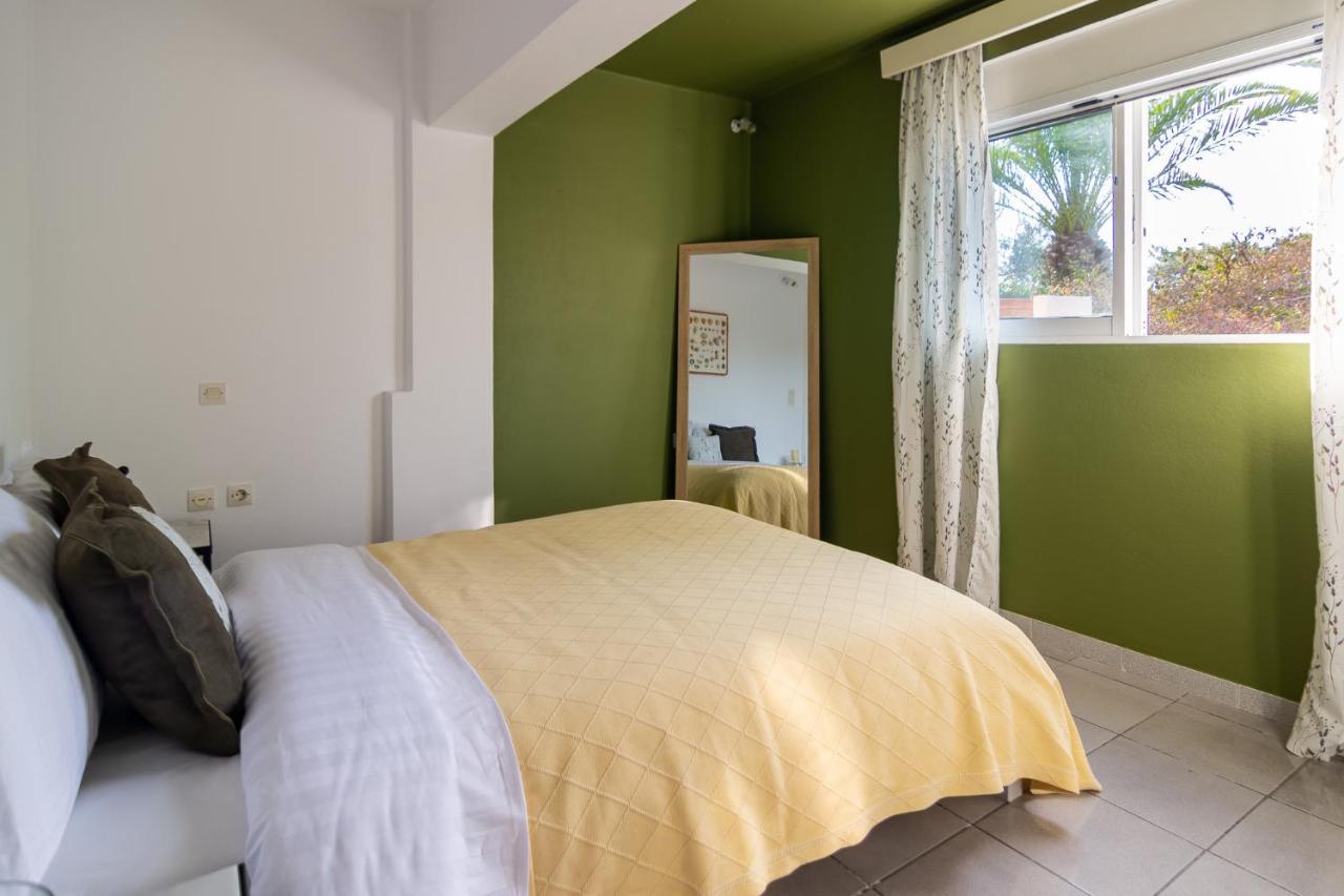 Apartment Maison With Near To The *