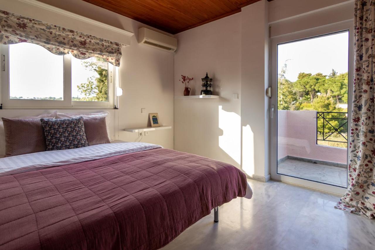 Apartment Maison With Near To The